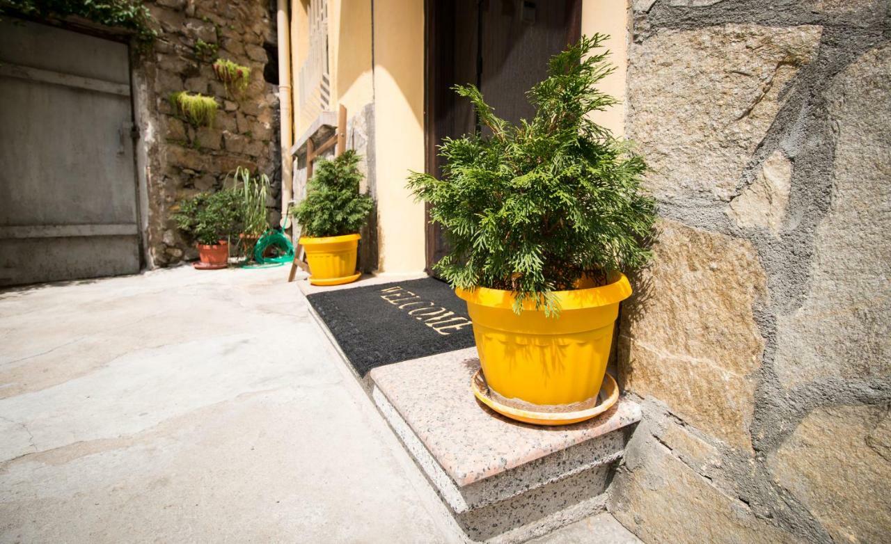 The Rocky House - Central & Private 2Bdr By Flat Mаnager Plovdiv Bagian luar foto